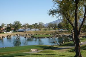 PGA West (Stadium) 17th Tree